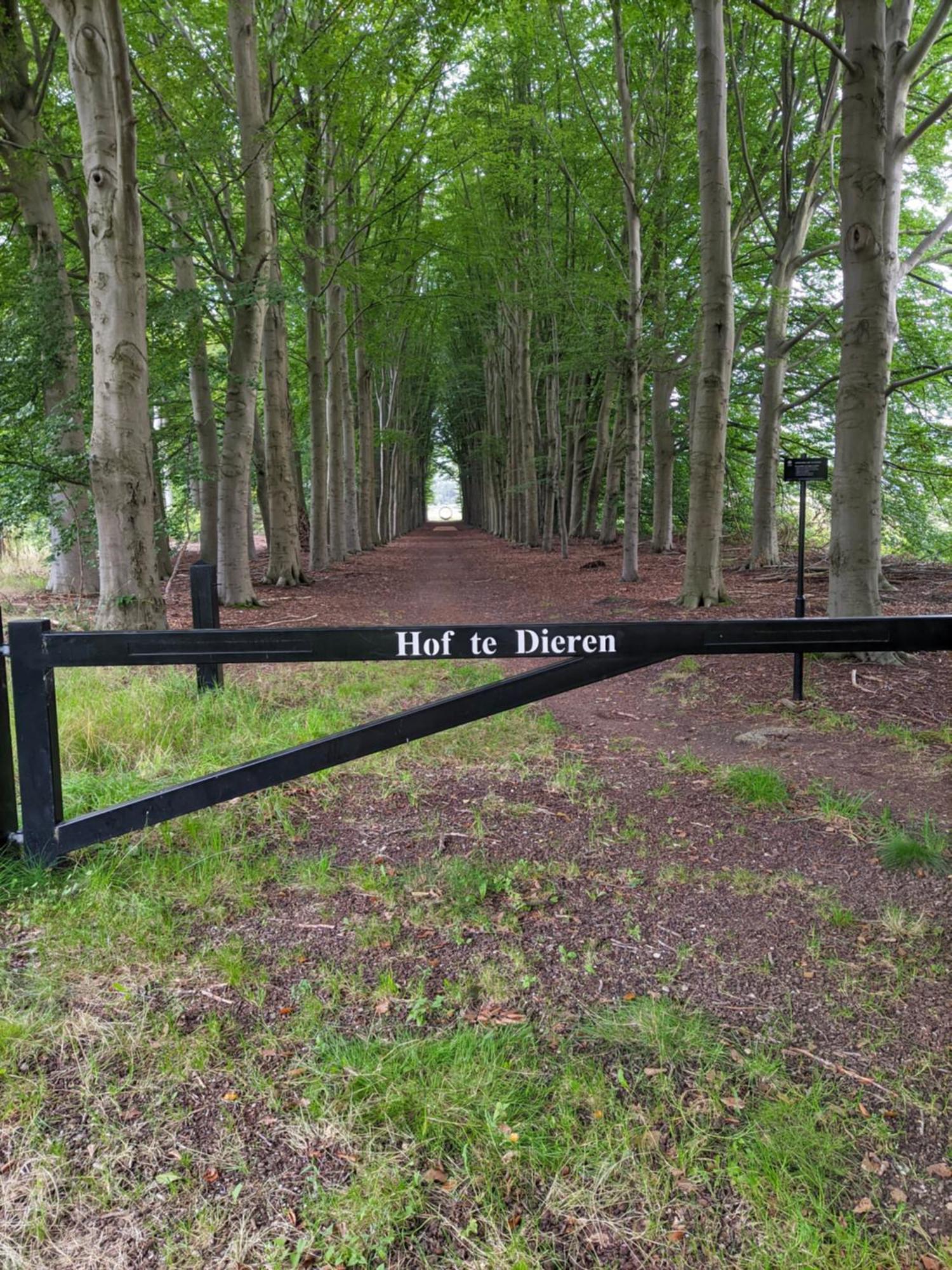 Villa Benvenuto Dieren Exteriér fotografie